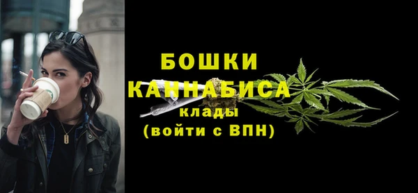 амф Михайловск